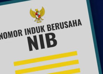 Kementerian Investasi Berhasil Terbitkan 8 Juta NIB