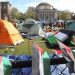 Infografis Aksi Pro-Palestina Marak di Kampus-Kampus AS dan Prancis