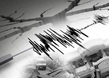 BMKG : 20 Mei 2024 Gempa 4,6 SR Guncang Nias Selatan, Sumut
