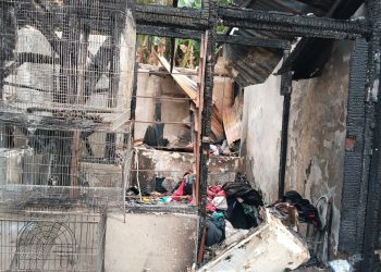 Kebakaran Hebat Hanguskan 15 Rumah di Kota Bambu Utara
