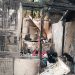 Kebakaran Hebat Hanguskan 15 Rumah di Kota Bambu Utara
