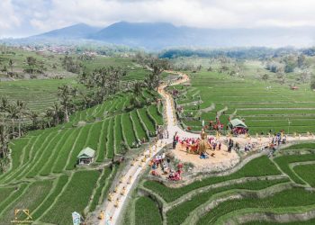 Intip Keindahan Desa Jatiluwih Tabanan Bali, Salah Satu Best Tourism Village 2024