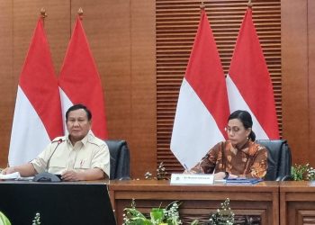 Presiden Prabowo: PPN 12% Hanya Barang dan Jasa Mewah